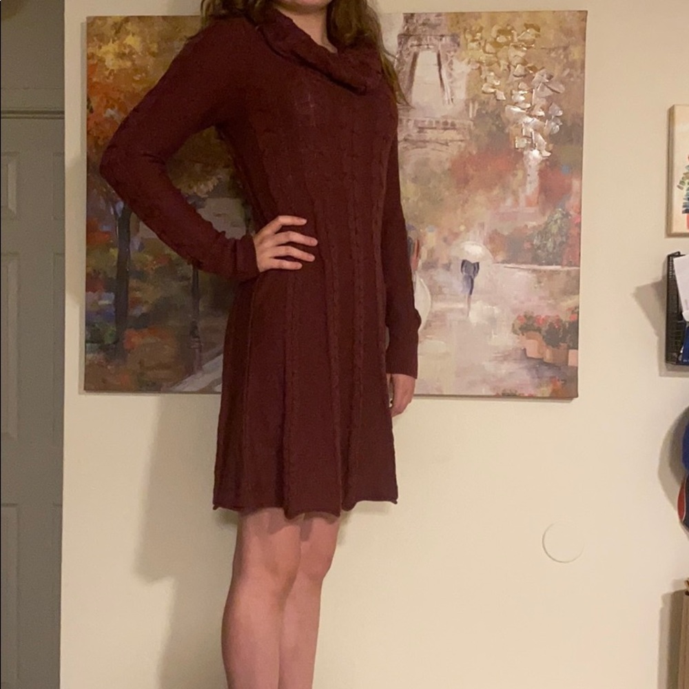 Maroon Long Sleeve Turtleneck Dress